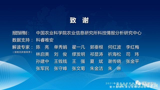 科莫最新消息，探索前沿科技與社會發展的交匯點