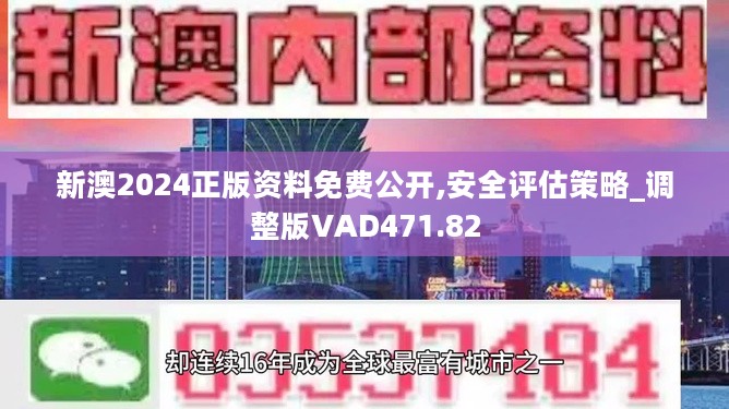 2024新奧正版資料免費(fèi)提供|精選解釋解析落實(shí)