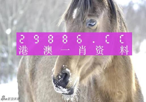 澳門平特一肖100準(zhǔn)|精選解釋解析落實(shí)