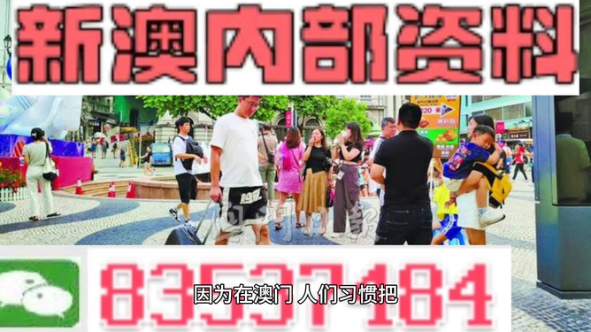 2024新澳正版免費資料大全|精選解釋解析落實