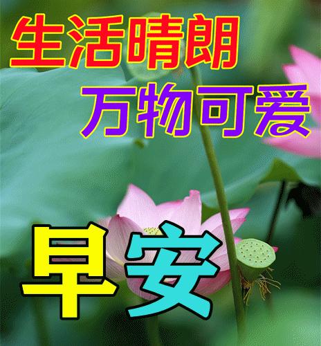 質量控制 第43頁