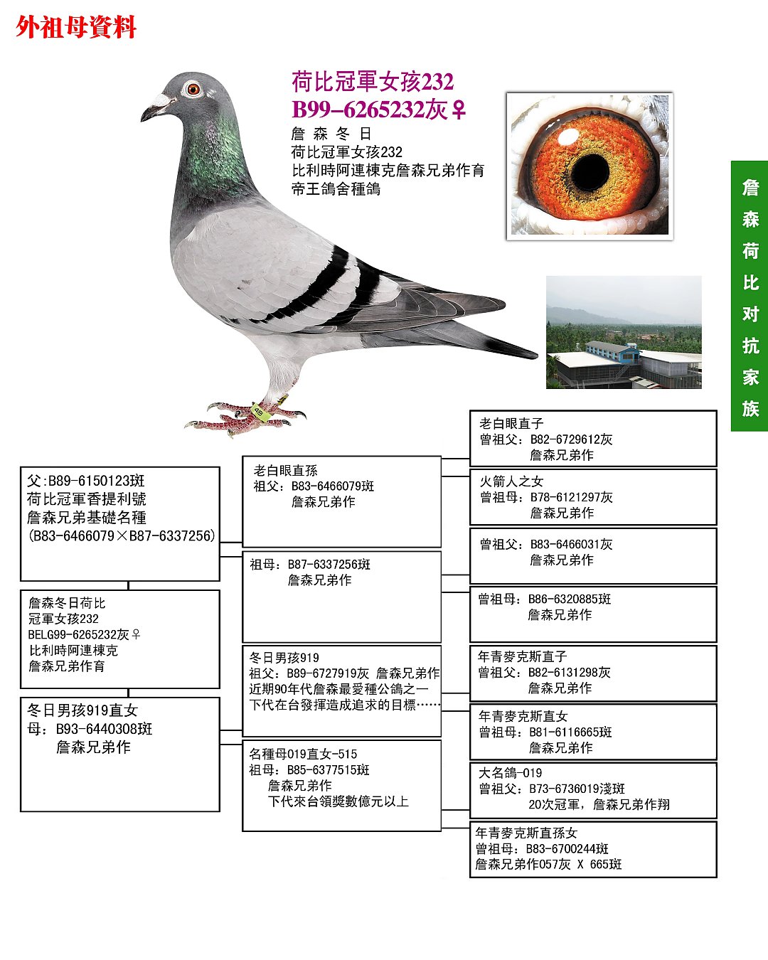 最新臺鴿網一口價專區