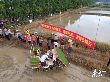 珠海代耕農最新消息