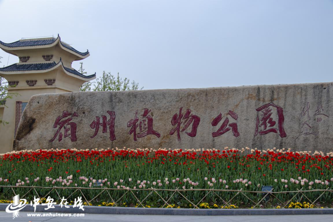 宿州植物公園最新消息